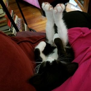 Meet your Posher, Diane